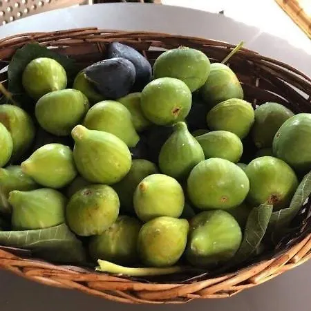 La Volpe E L'uva Panzió 5*