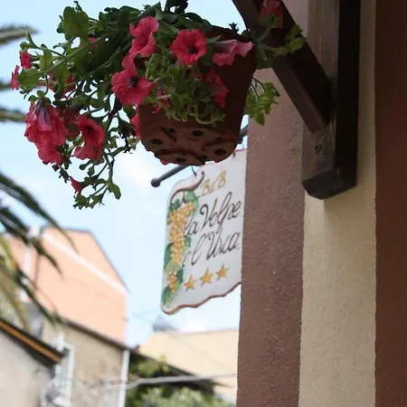 La Volpe E L'uva