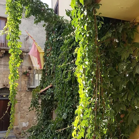 La Volpe E L'uva