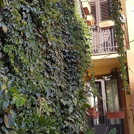 La Volpe E L'uva 住宿加早餐酒店